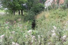 69.Looking-Downstream-from-Hartlake-Farm-Bridge-to-Join-with-Hartlake