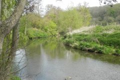 16.-River-Frome-downstream-from-Tellisford-Bridge