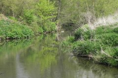 17.-River-Frome-downstream-from-Tellisford-Bridge