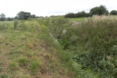 11.River-View-downstream-from-Whitelake-Bridge