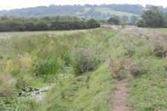 15.Looking-upstream-from-Hartlake-Farm