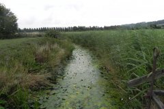 7.Looking-downstream-from-Whitelake-Sluice