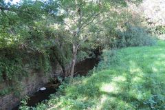 1.-Upstream-from-Wrington-Bridge-1