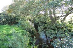 5.-Downstream-from-Perry-bridge-3
