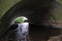 9.-Perry-bridge-downstream-arch-2