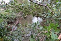 10.-Looking-upstream-from-ROW-Footbridge-No.-5177