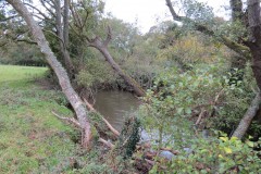15.-Upstream-from-Tonedale-Weir-1