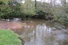 15.-Upstream-from-Tonedale-Weir-10
