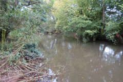 15.-Upstream-from-Tonedale-Weir-2