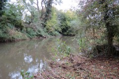 15.-Upstream-from-Tonedale-Weir-3