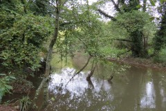 15.-Upstream-from-Tonedale-Weir-4