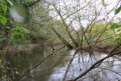 15.-Upstream-from-Tonedale-Weir-5