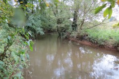 15.-Upstream-from-Tonedale-Weir-7