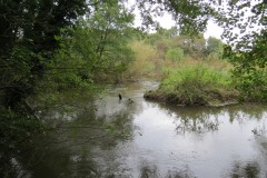 15.-Upstream-from-Tonedale-Weir-8