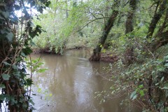 15.-Upstream-from-Tonedale-Weir-9