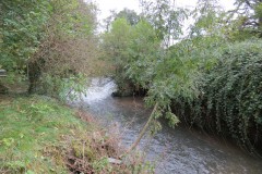 22.-Looking-upstream-to-Tonedale-Weir