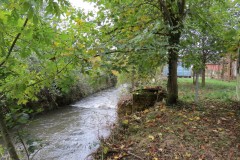 23.-Downstream-from-Tonedale-Weir
