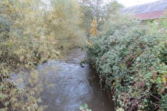 24.-Looking-upstream-from-Tonedale-Mill-bridge