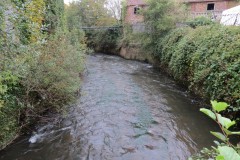 27.-Looking-upstream-from-Tonedale-Mill-bridge