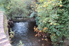 29.-Upstream-from-Tone-Bridge
