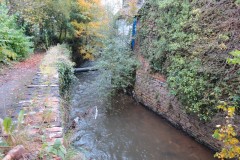 30.-Upstream-from-Tone-Bridge