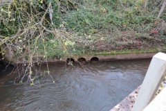 34.-Upstream-from-Tone-Bridge