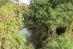 8.-Downstream-from-Harpford-Bridge-3
