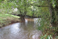 8.-Downstream-from-Harpford-Bridge-4