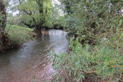 8.-Downstream-from-Harpford-Bridge-5