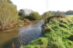 1.-Downstream-frome-Tonedale-3