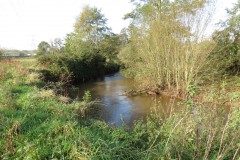 1.-Downstream-frome-Tonedale-4