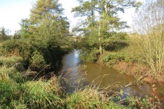 1.-Downstream-frome-Tonedale-5