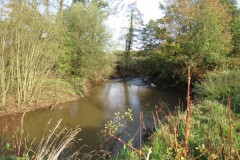 1.-Downstream-frome-Tonedale-6