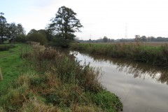 13.-Upstream-from-Hornshay-Weir-1