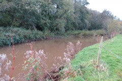 13.-Upstream-from-Hornshay-Weir-2