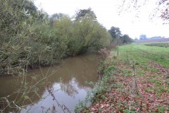 13.-Upstream-from-Hornshay-Weir-4