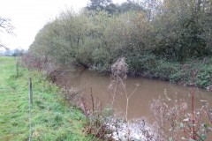 13.-Upstream-from-Hornshay-Weir-5