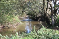 2.-Looking-downstream-to-Nynehead-Park-weir