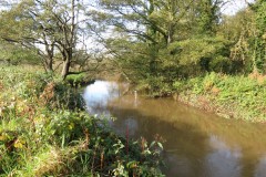 3.-Looking-downstream-from-Nynehead-Park-weir