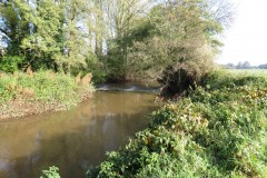 3.-Looking-downstream-to-Nynehead-Park-weir-2