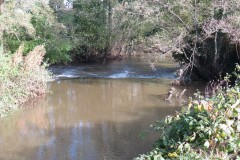 3.-Looking-upstream-to-Nynehead-Park-weir