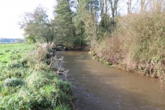 5.-Upstream-from-Nynehead-House-drive-bridge-1