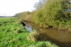 5.-Upstream-from-Nynehead-House-drive-bridge-2