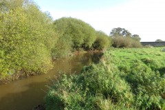5.-Upstream-from-Nynehead-House-drive-bridge-3