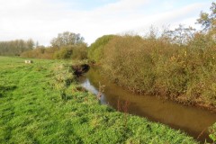 5.-Upstream-from-Nynehead-House-drive-bridge-7