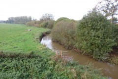 9.-looking-upstream-from-Nynehead-House-drive-bridge