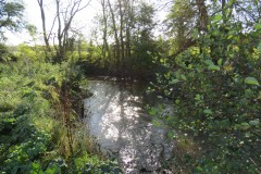10.-Downstream-from-Grand-Western-Canal-Viaduct-3