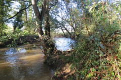 11.-Upstream-from-Ash-Bridge-1