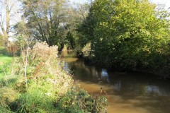 11.-Upstream-from-Ash-Bridge-10
