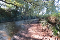 11.-Upstream-from-Ash-Bridge-3